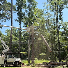 Multiple-Tree-Removals-in-Stevensville-MD 3